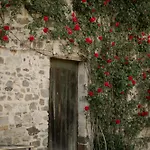 Abbaye De Blanchelande Neufmesnil