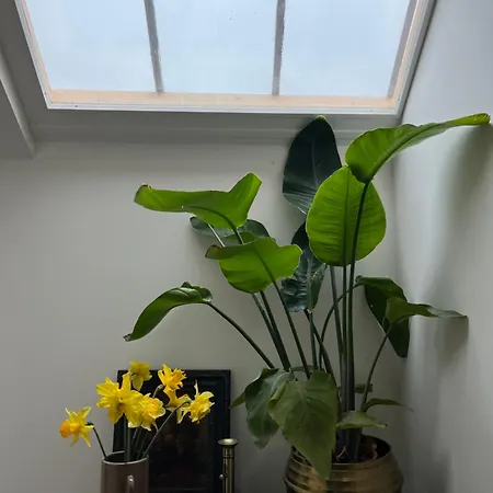 Abbaye De Blanchelande Отель типа 