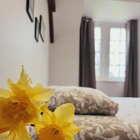 Bed and breakfast Abbaye De Blanchelande Neufmesnil