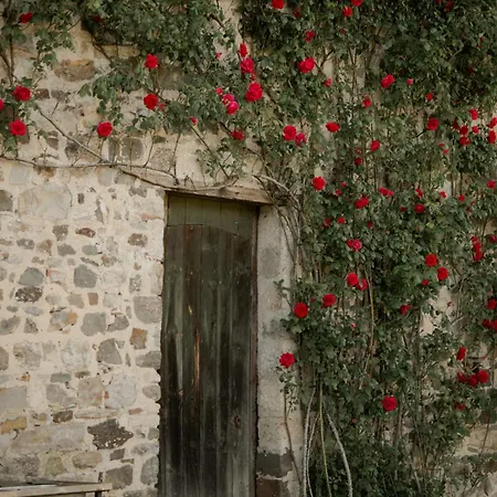 Abbaye De Blanchelande Neufmesnil