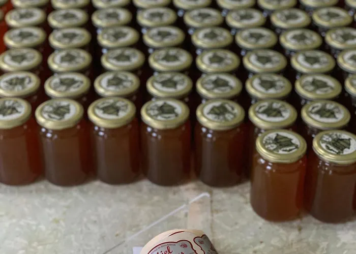 Abbaye De Blanchelande 住宿加早餐酒店 *