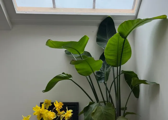 Abbaye De Blanchelande 住宿加早餐酒店 Neufmesnil