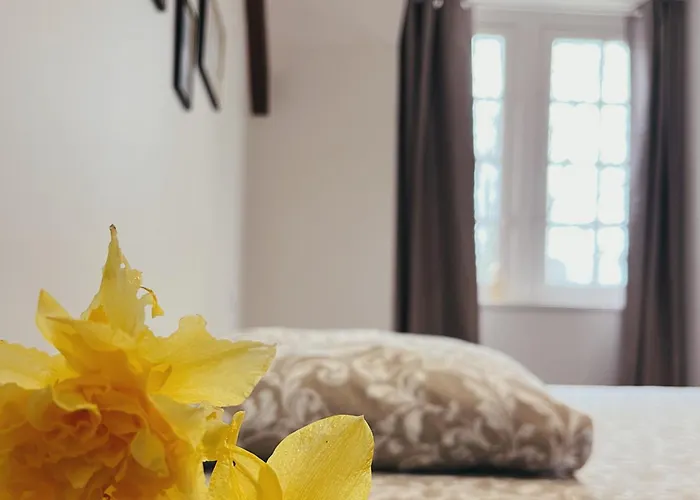 B&B Abbaye De Blanchelande Neufmesnil