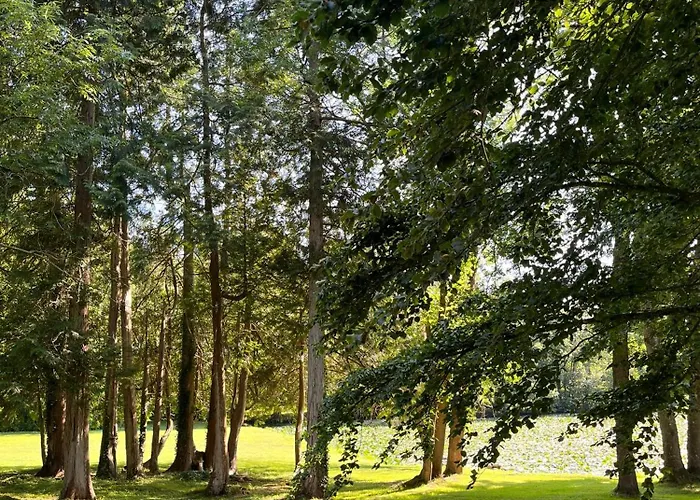 Abbaye De Blanchelande B&B *